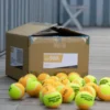 Bola Beach Tennis - Bola Sandever Beach Tennis Btb 900