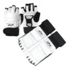 Kit de proteção Taekwondo - Kit de Proteção Taekwondo Generic Taekwondo