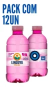 Agua Mineral Lindoya Verao - Agua Mineral Lindoya Verao Garrafa 240ml