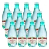 Água São Lourenço - Água São Lourenço Premium 12x300ml