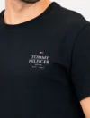 Camiseta Tommy Hilfiger - Camiseta Tommy Hilfiger Stack Brand Love