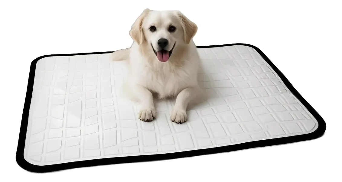 2 Tapetes Higiênico Para Cães Gigantes 100x70 Com Lona 2 Tapetes Higiênico Para Cães Gigantes 100x70 Com Lona