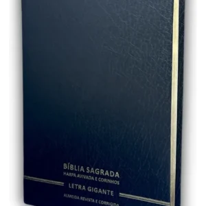 Bíblia Gigante Premium Luxo Arc C/harpa Full Color – Minimalista Preto