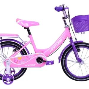 Bicicleta Princesa Infantil Aro 16 Meninas 1 Velocidade