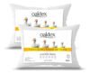 Kit 2 Travesseiros 70×50 Antialérgico Lavável Fibra Siliconada Toque De Pluma De Ganso Oaktex Cor Branco