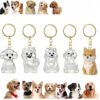 Kit 5 Chaveiros Porta Pelos Pet Lembrança Do Cachorro