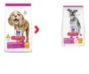 Ração Hills Canino Cães Adulto 11+ Pequenos E Mini 2,4 Kg