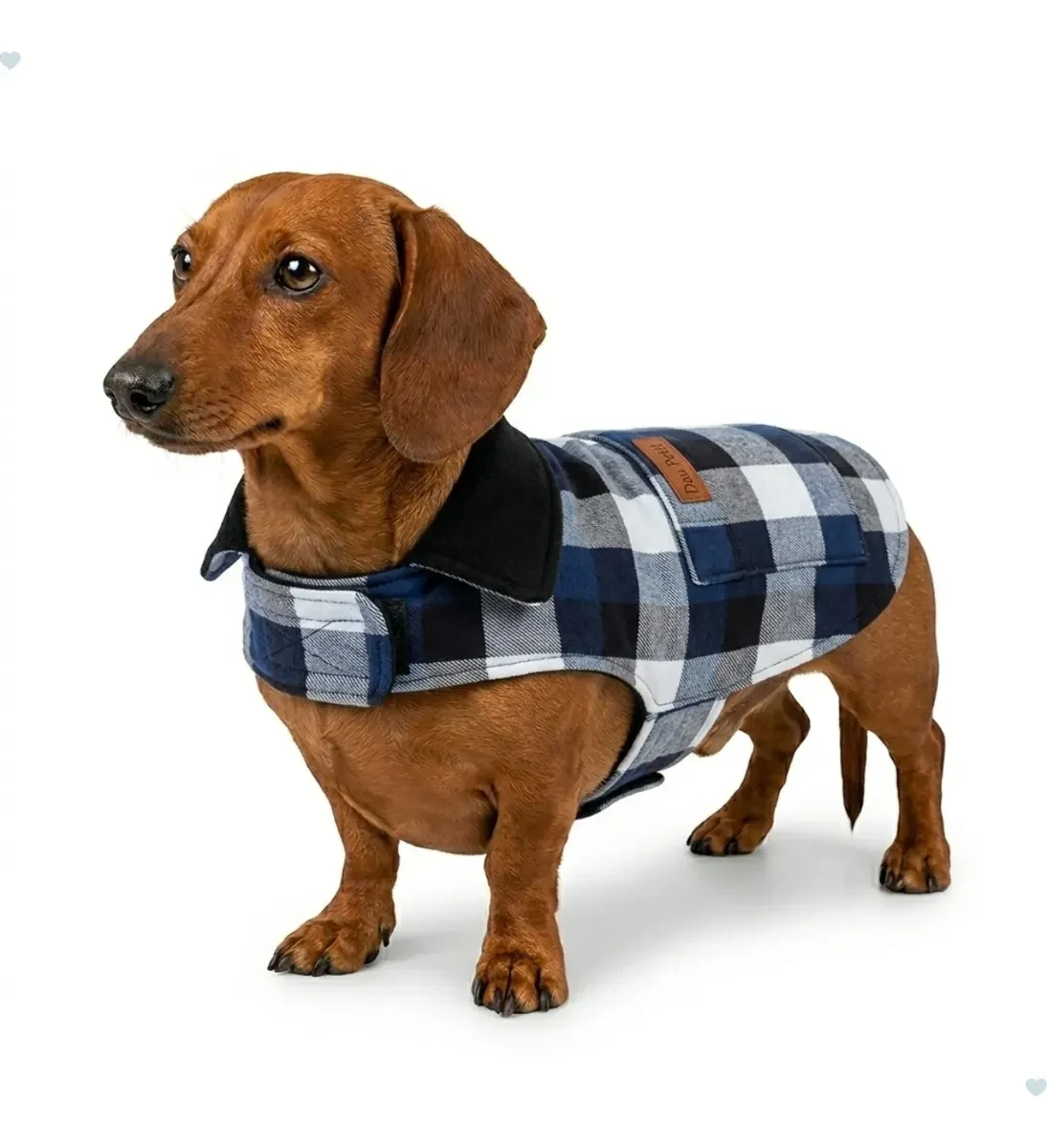 Roupa Cachorro Inverno Ajustável Soft Casaco Confortável Pet Roupa Cachorro Inverno Ajustável Soft Casaco Confortável Pet