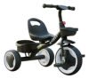 Triciclo Infantil Menino Com Cestinho Duplo Colli Kim