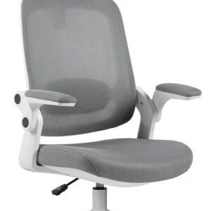 Cadeira De Escritório Astra Ergonômica Elements Cinza Branco