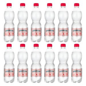 Água Mineral Premium Lindoia Com Gás 510ml Kit Com 12 Unidades