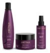 Kit No Frizz 3 Produtos Aneethun