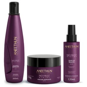 Kit No Frizz 3 Produtos Aneethun