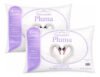Kit 02 Travesseiro Antialérgico Pluma De Ganso 70cm X 50cm Cor Branco