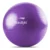 Promoção! Bola Pilates 65cm Hidrolight Roxo: Melhor Preço e Frete Grátis