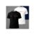 Kit 3 Camiseta Camisa Estilo Casual Paris 100% Algodão