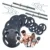 Kit Anilhas Halteres 40kg Musculação Fitness Prado Original